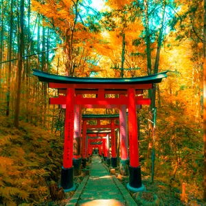 Fushimi Inari Kyoto Japan by PackExplore